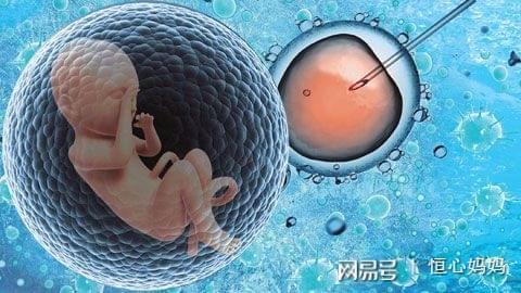 测序平台